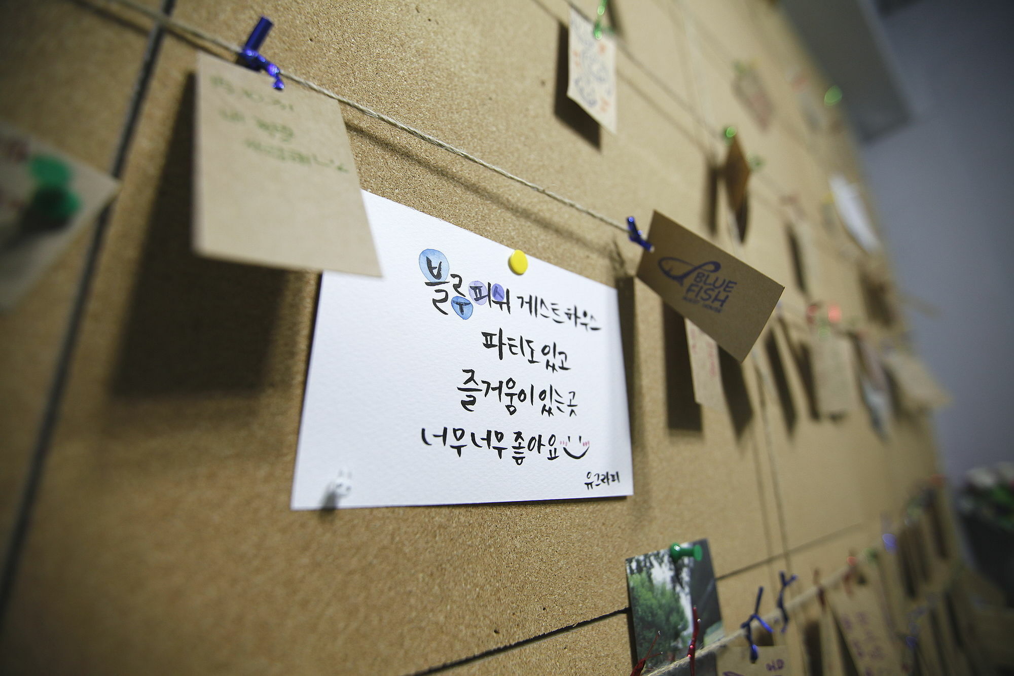 Bluefish Guesthouse Busan Exterior foto
